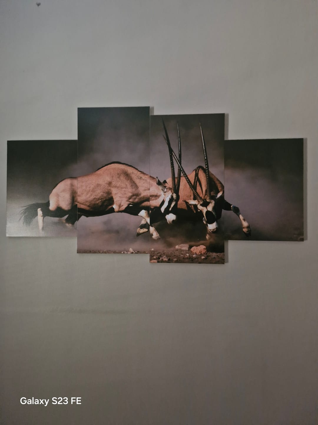 Customer photo review of Wooden Wall Art | 4 Set | Animal | Oryx
