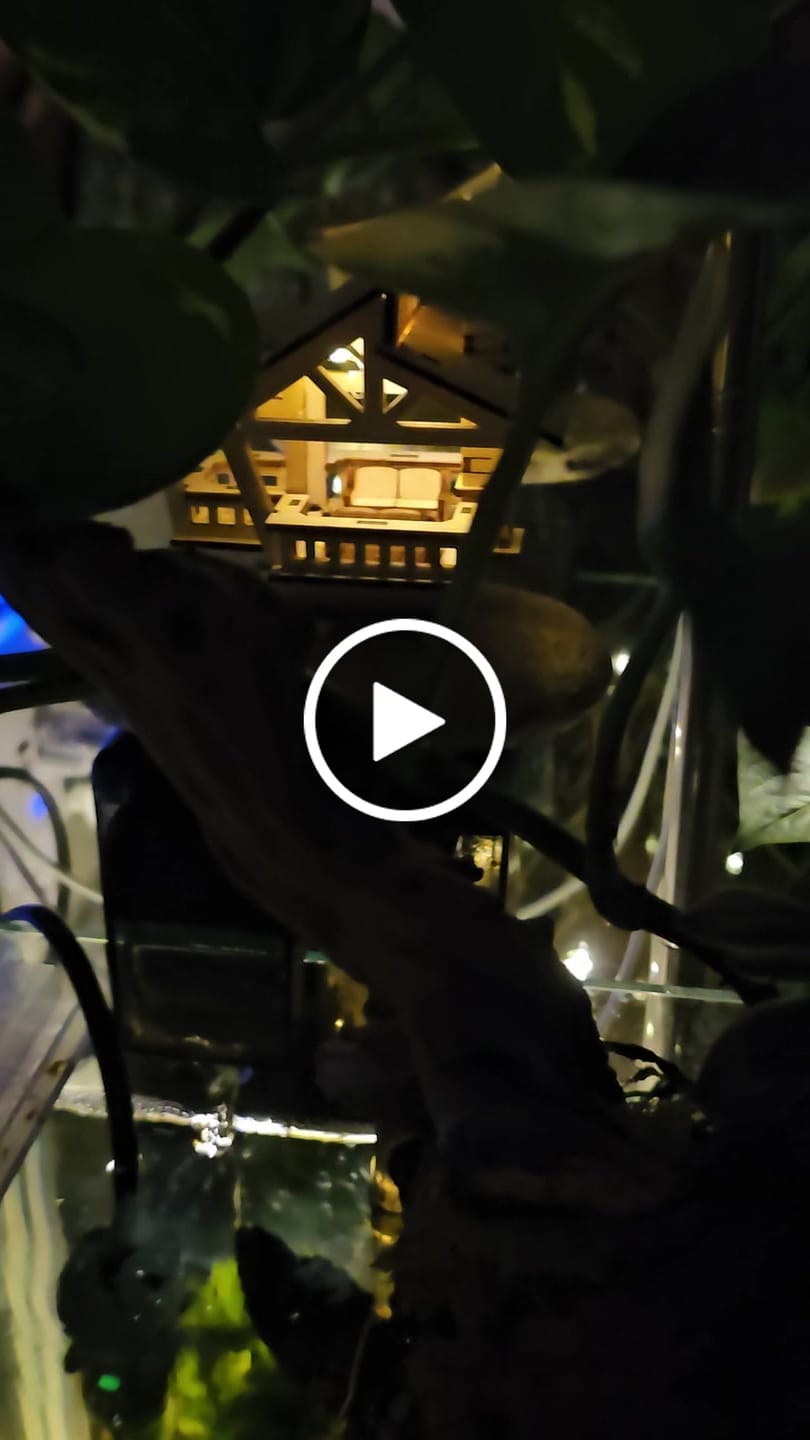 Customer video review of Lost Cabin