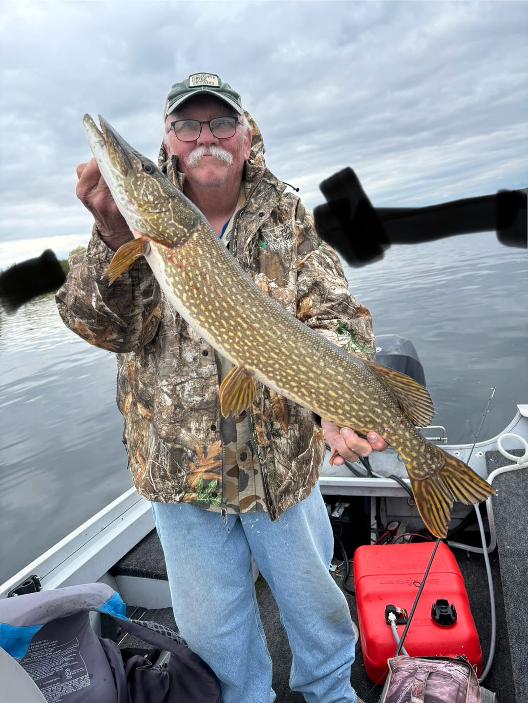 Customer photo review of American Smelt