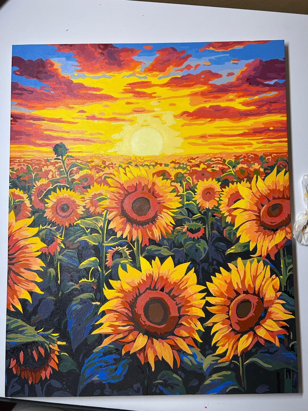 Customer photo review of Sunflower Dusk
