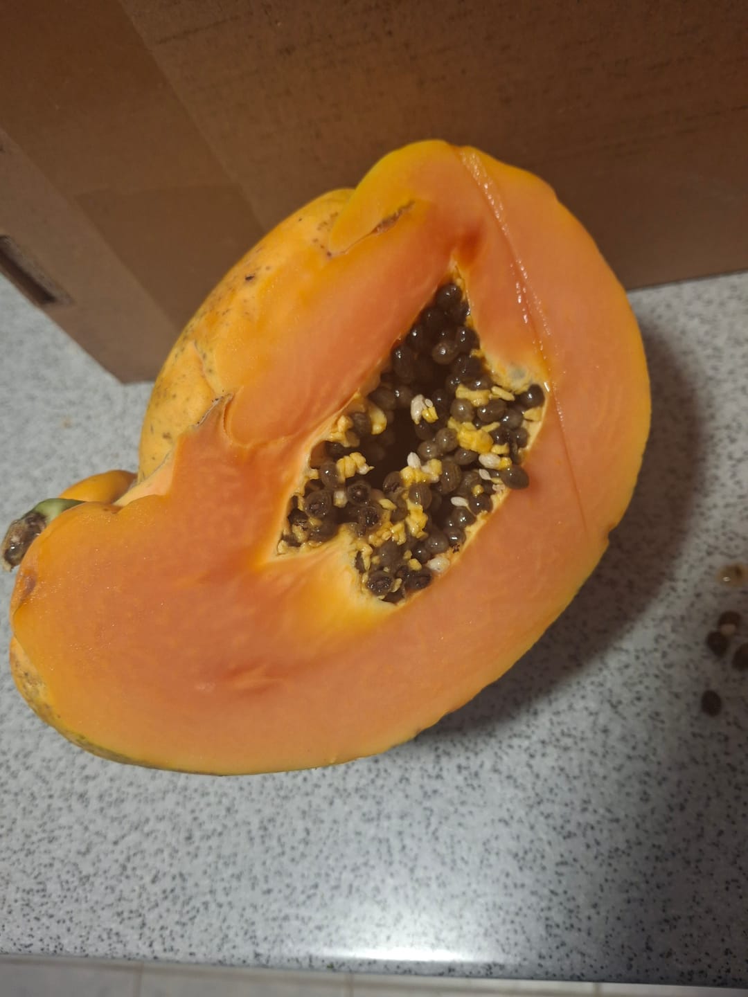 Customer photo review of Papaya Bio von Julian Wochenaktion %