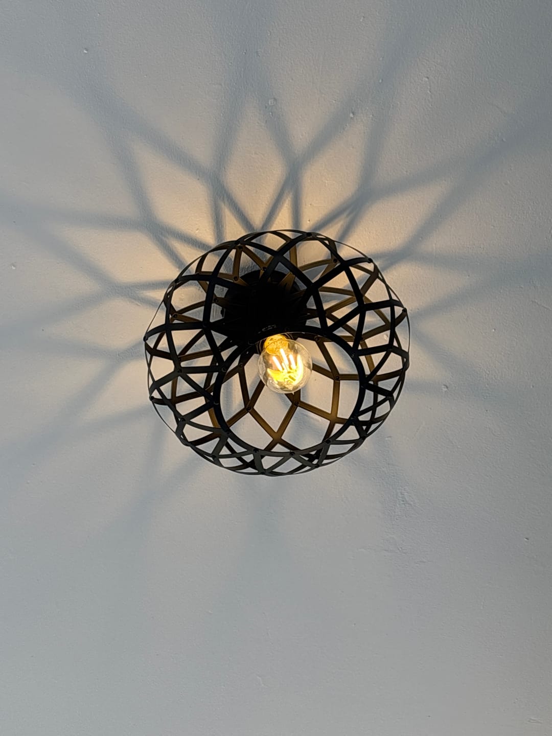 Customer photo review of Nest Ceiling Light Metal Black | Gold