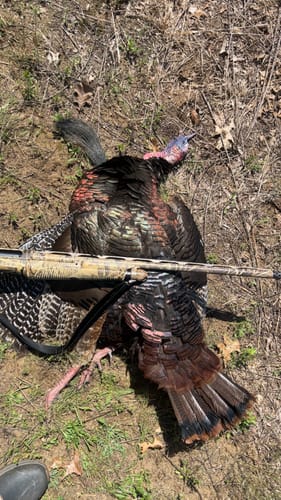 Customer photo review of Crystal Over Slate Pot Call - All Weather