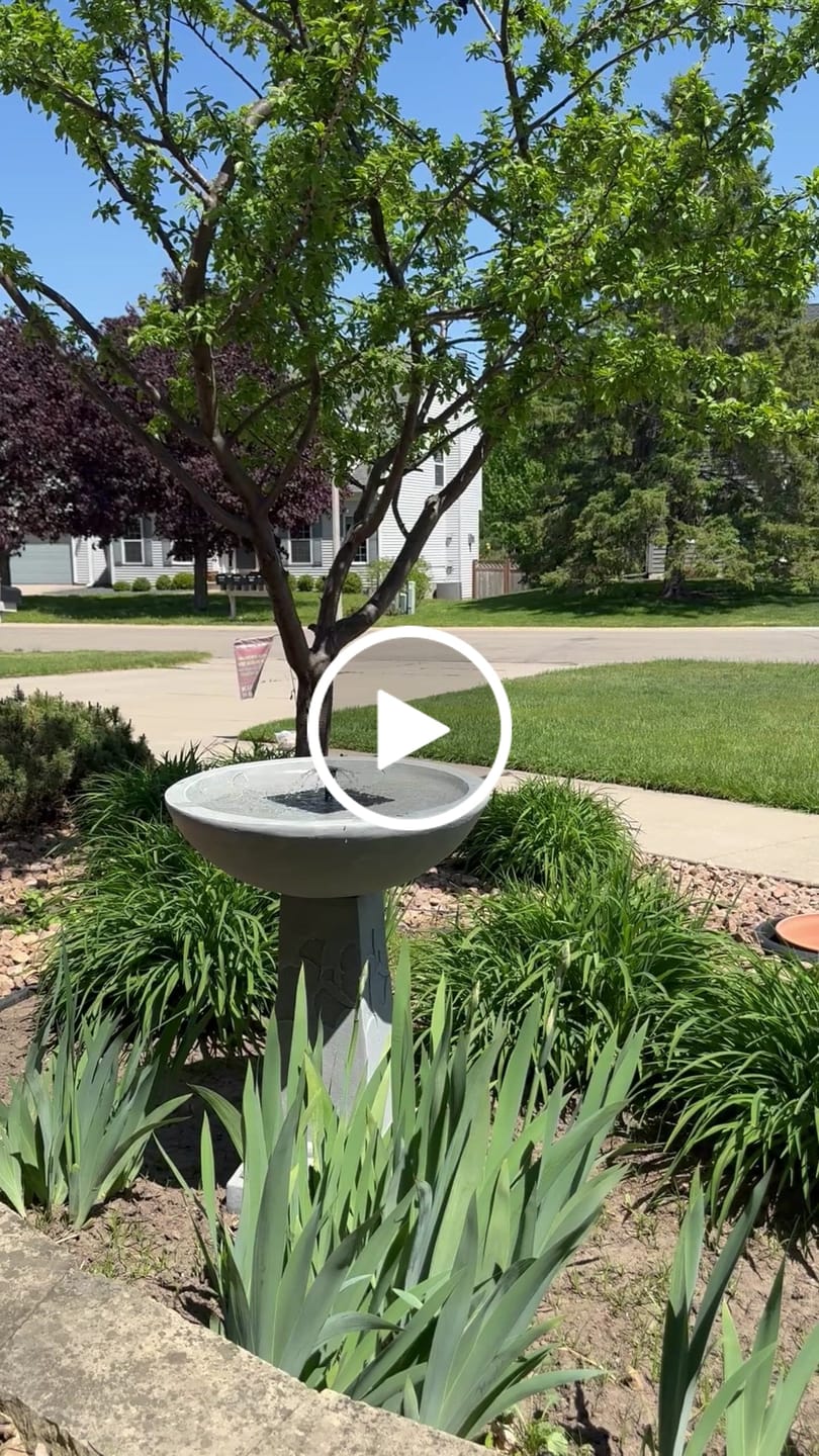 Customer video review of Ginko Tall Solar Bird Bath