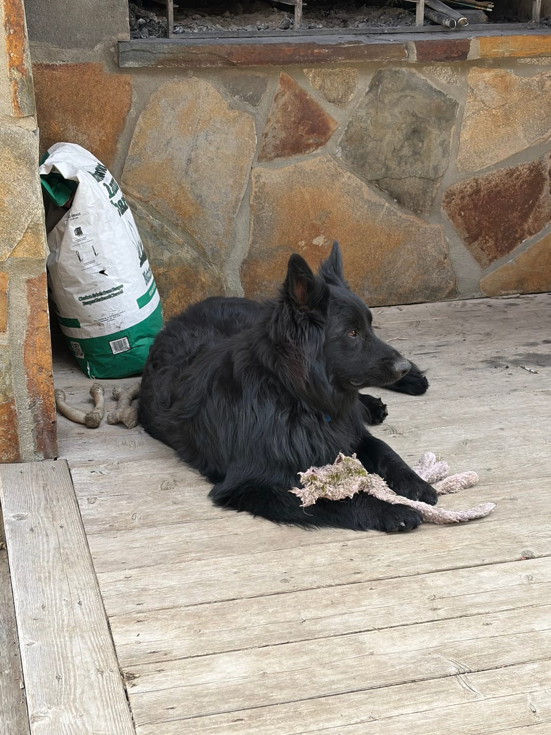 Customer photo review of K9 Choice - Os pour chien congelé - 3lb