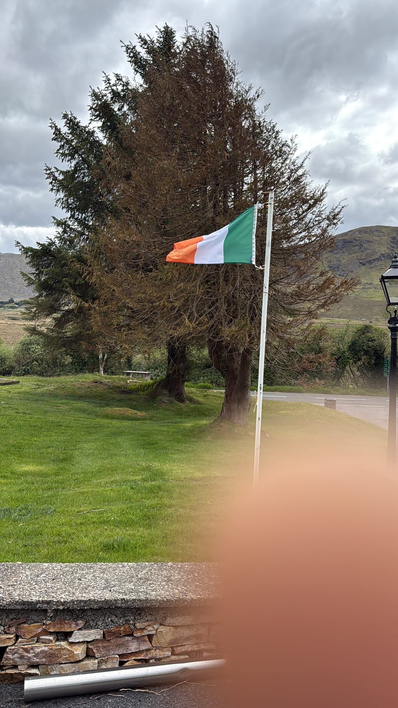 Customer photo review of Ireland National Flag