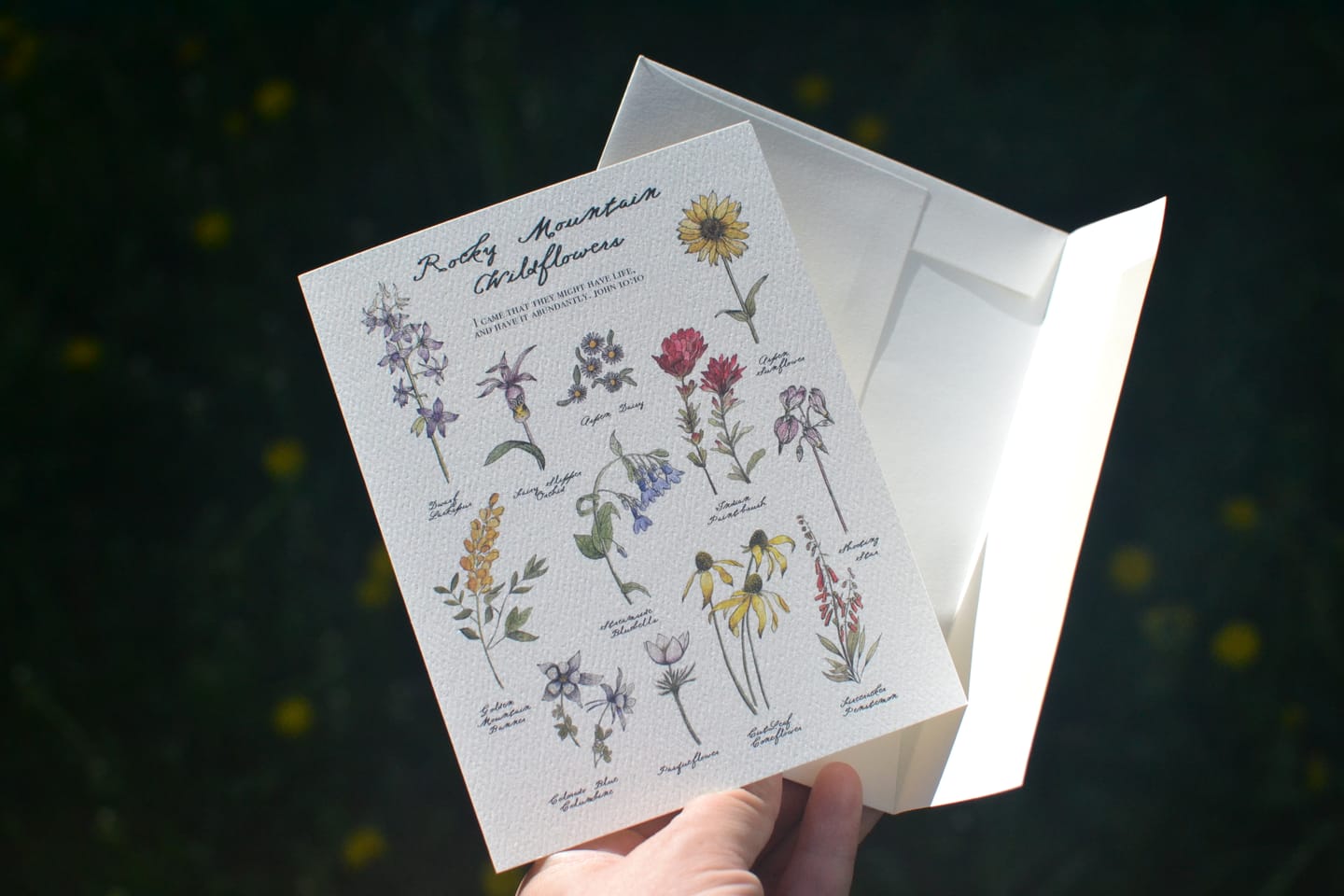 Customer photo review of Rocky Mountain Boxed Greeting Card Set