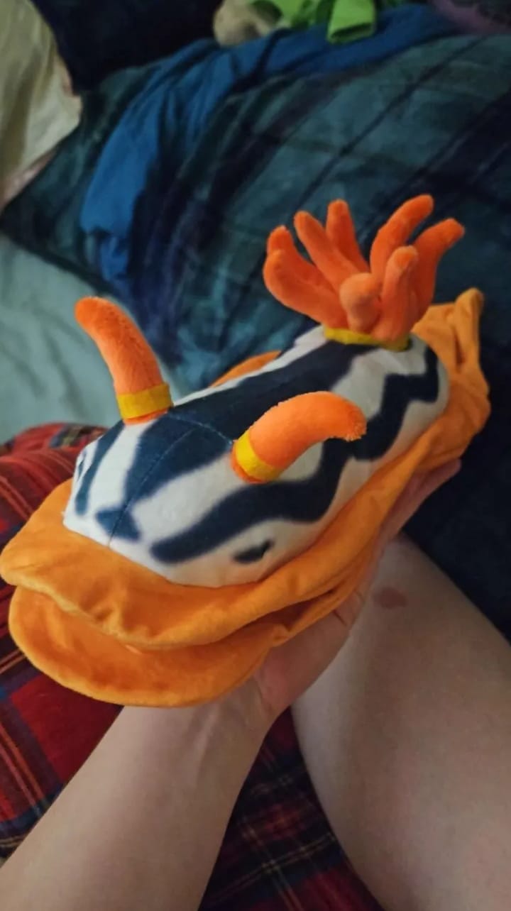 Customer photo review of Specimen 2 - Magnificent Sea Slug Plush