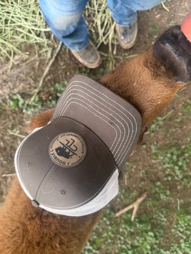 Customer photo review of [12 Pack] 112 Style Leather Patch Trucker Hats