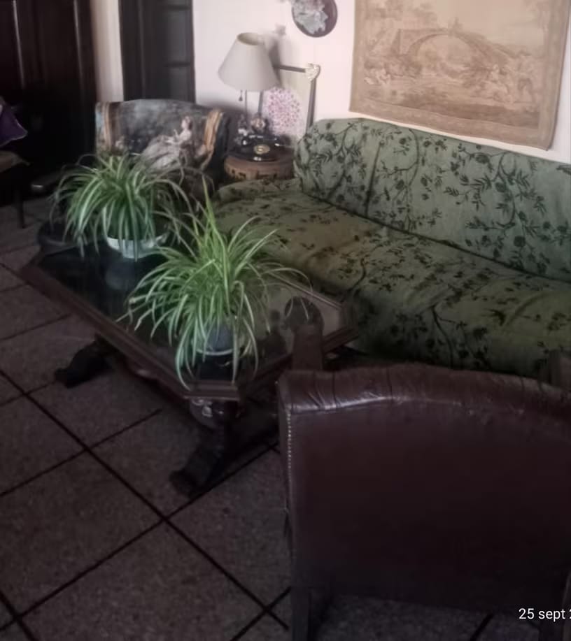 Customer photo review of Chenille Sofa Cover – Floral Jacquard Throw with Tassel Detail