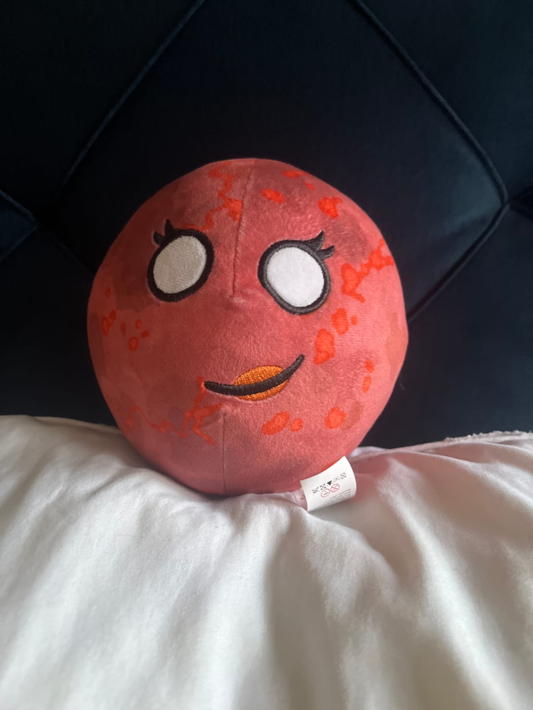 Customer photo review of The SolarBalls Theia Plush