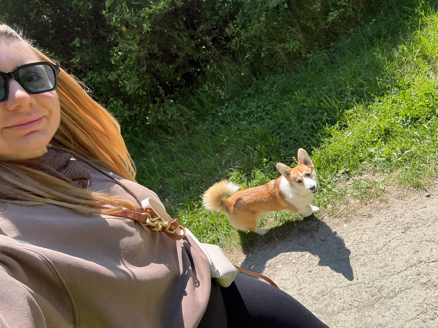 Customer photo review of Hands-Free Leash Adapter