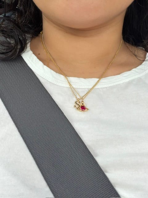 Customer photo review of Adjustable Cable Chain