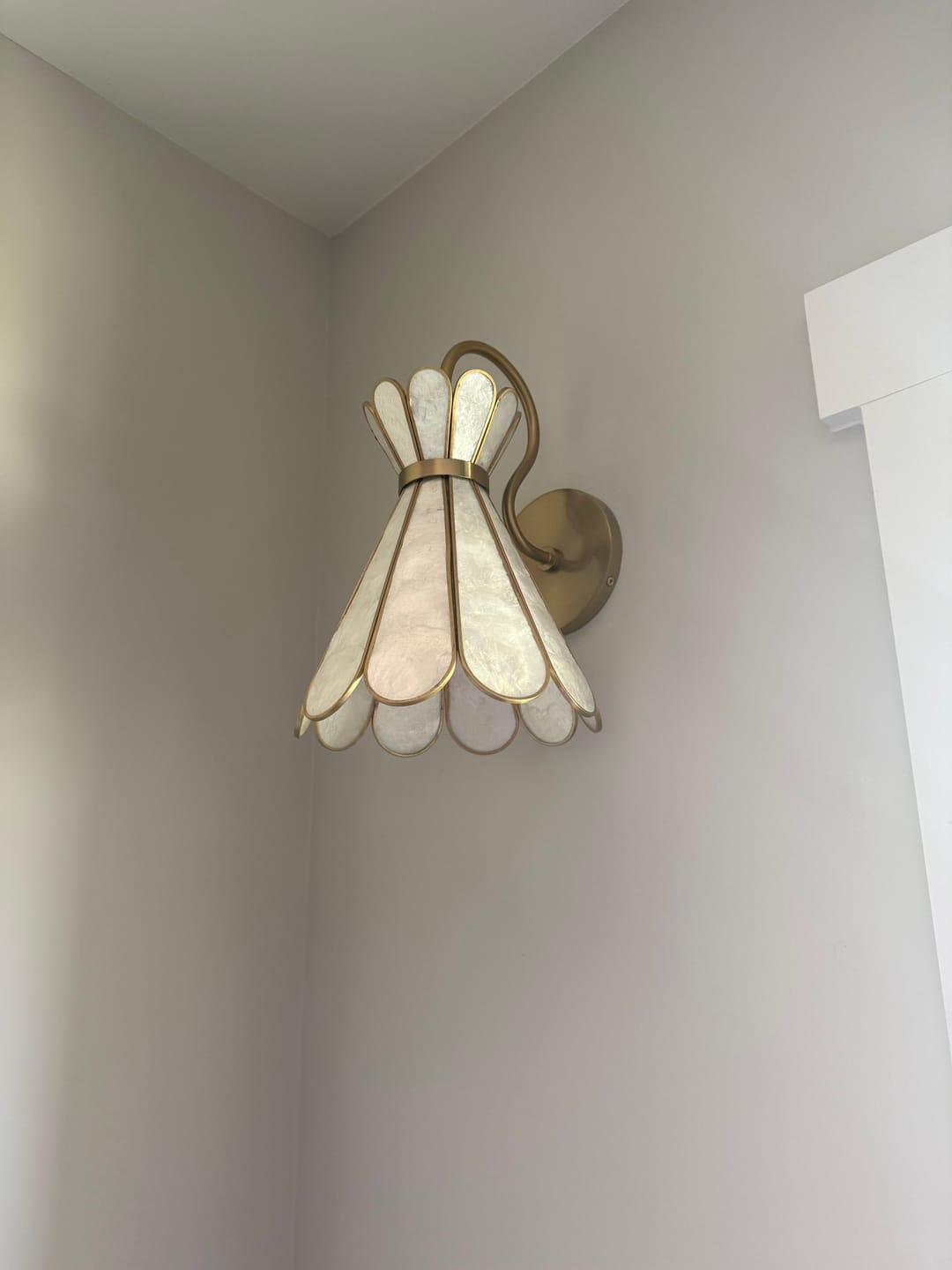 Customer photo review of Sculptural Bloom 1-Light Brass Capiz Shell Glass Wall Sconce