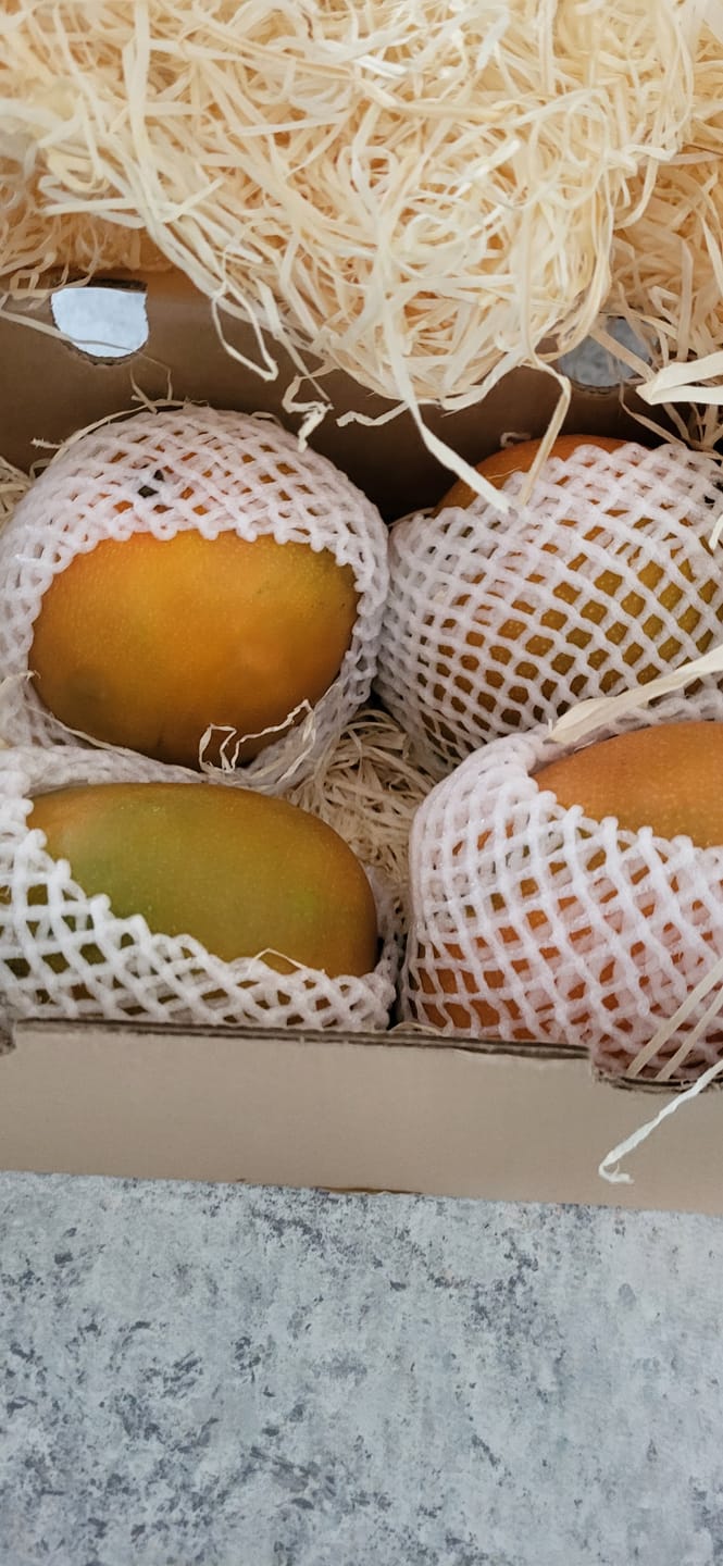 Customer photo review of Mango Entdeckerbox