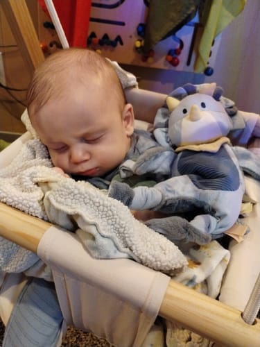 Customer photo review of Spruce | Foldable Baby Swing