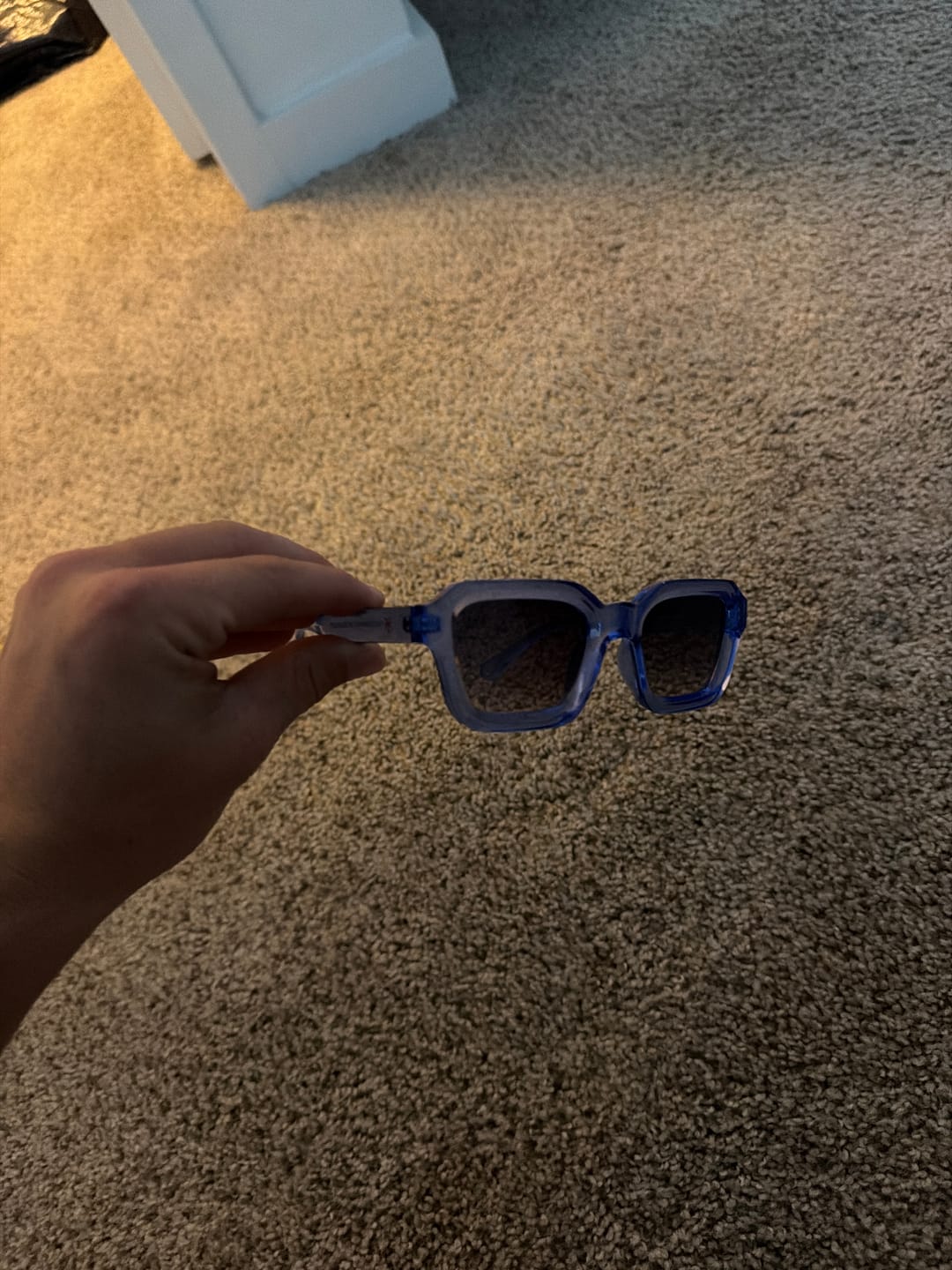 Customer photo review of BLUE CHEWS