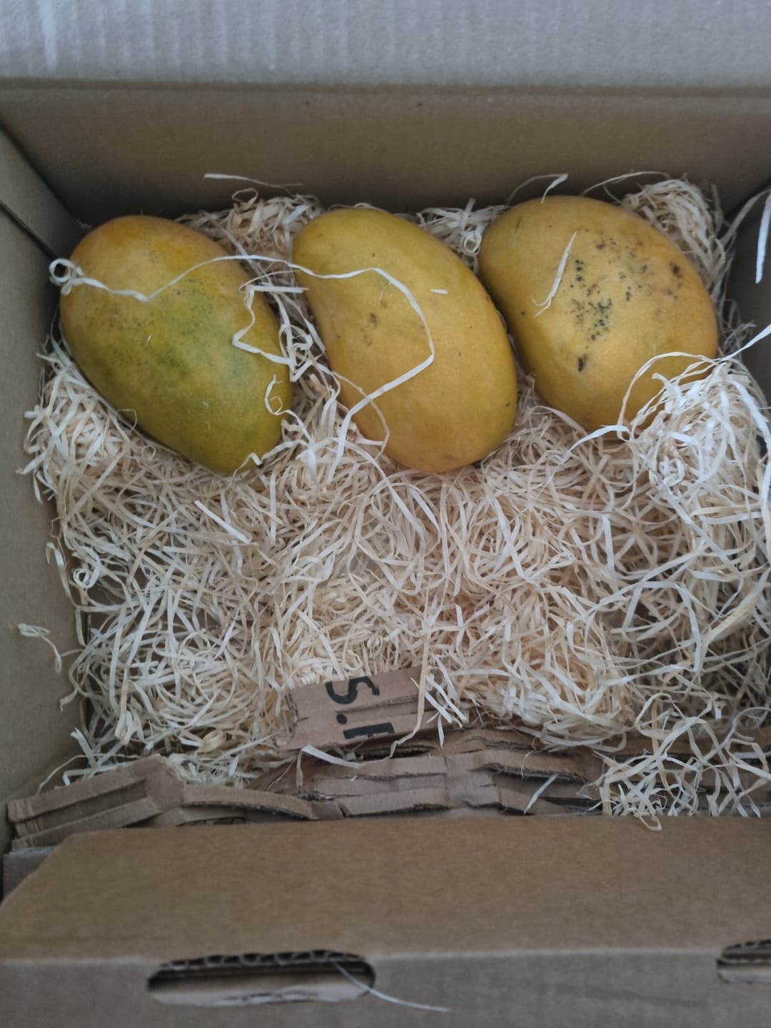 Customer photo review of Mango Mingolo baumgereift Sonderaktion % 2kg Box