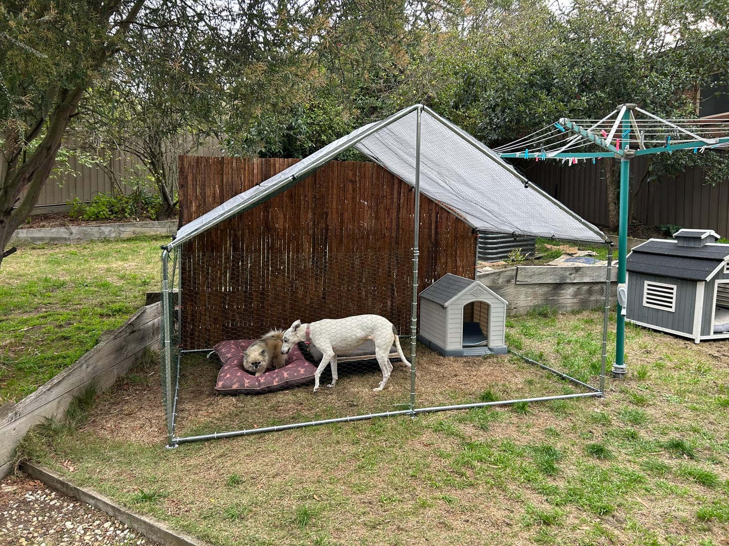 Customer photo review of Outdoor Dog Kennel Metal Dog Enclosure With Roof 2M