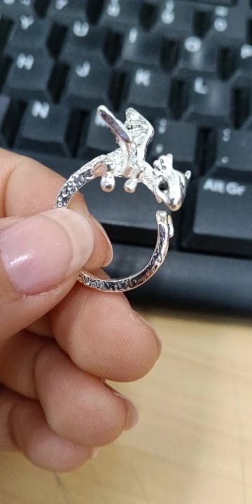 Customer photo review of Adjustable Toothless & Light Fury Ring