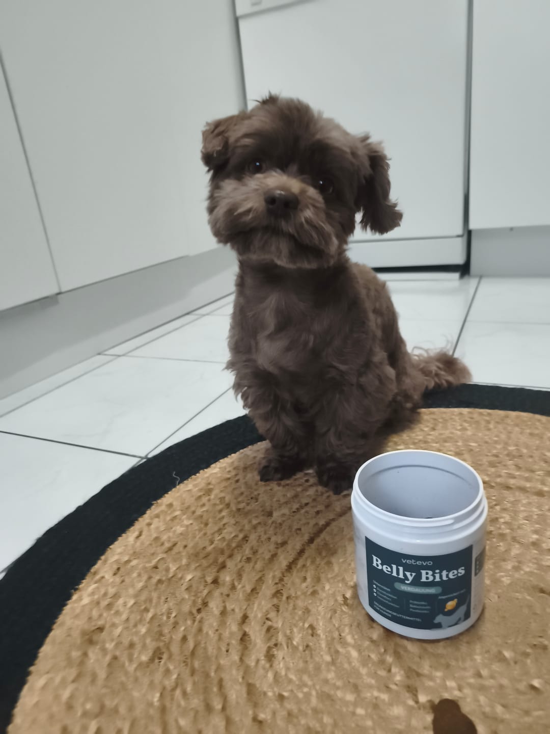 Customer photo review of Wurmtest Pro Hund