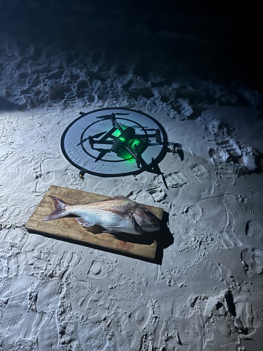 Customer photo review of Aeroo Pro Fishing Combo