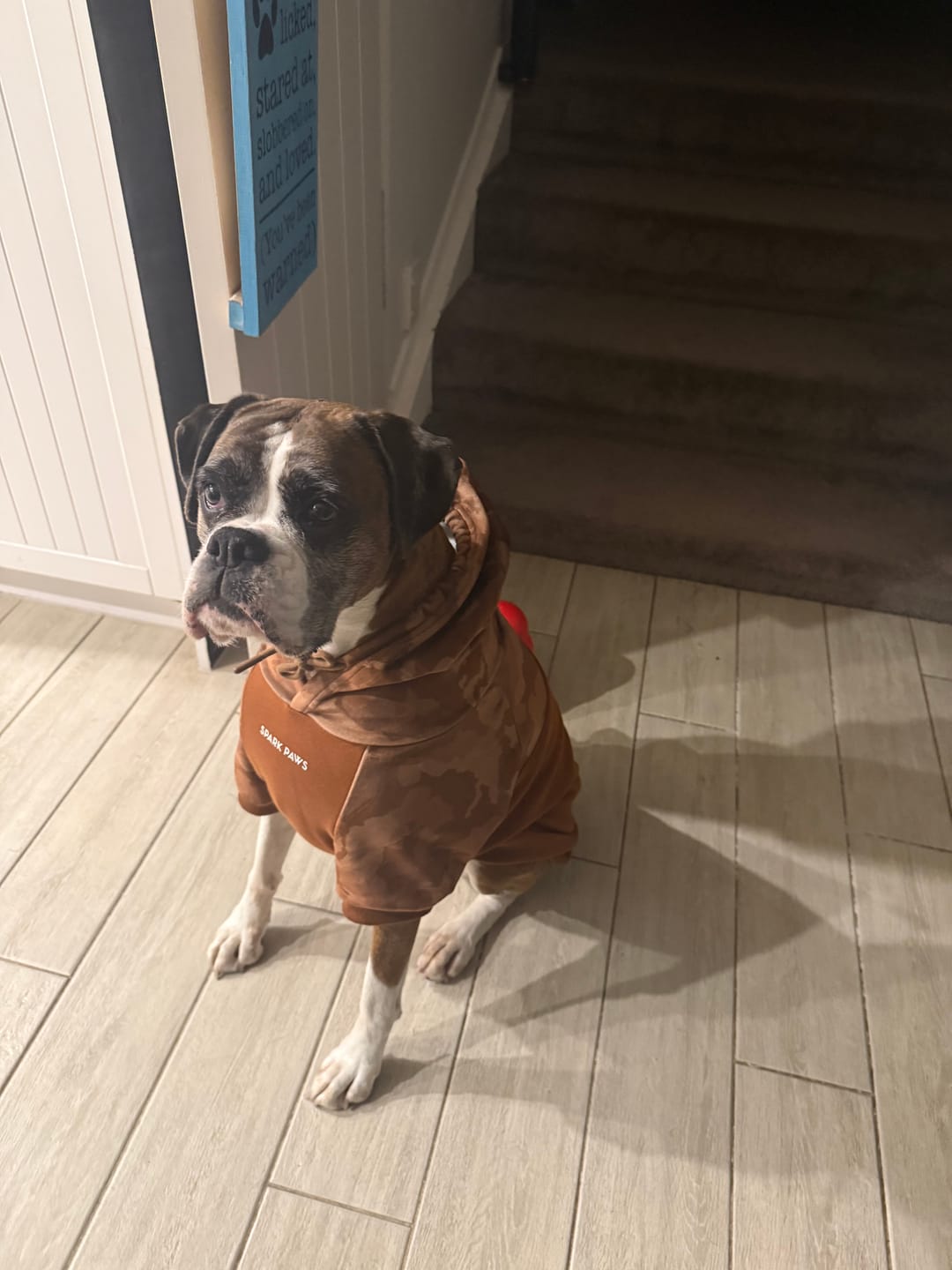Customer photo review of Camo Dog Hoodies