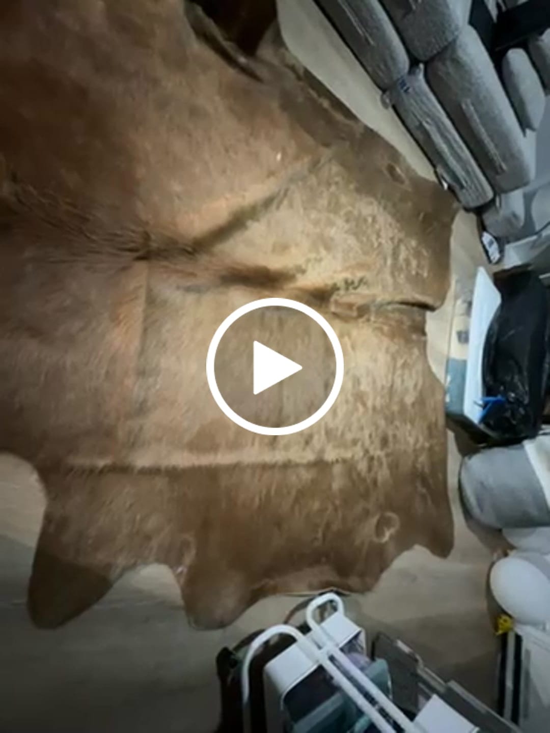 Customer video review of SUPER SALE Light Brown Natural Cowhide Rug - XX-Large 8' 4"H x 7' 4"W