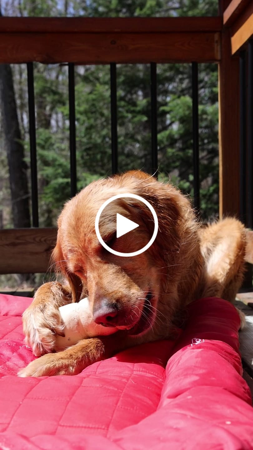 Customer video review of 10-12 Inch Beef Cheek Roll