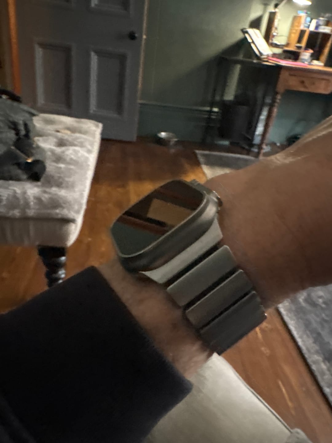 Customer photo review of WatchBand Titanium Sport