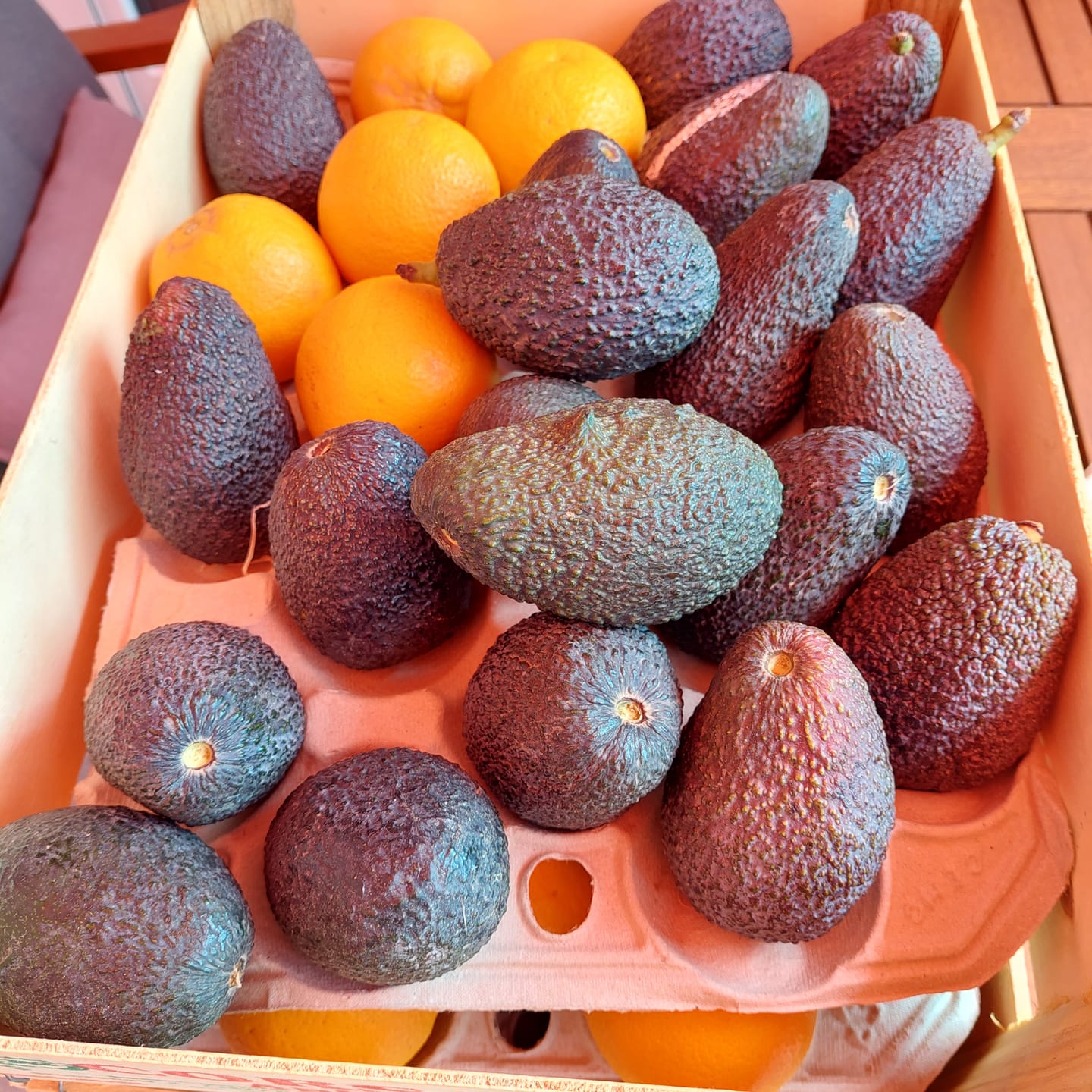 Customer photo review of Saft-Orangen Bio aus Sizilien