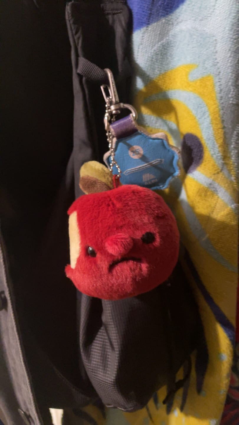Customer photo review of Misfit Adoption Bag (2 Mystery Plushies)