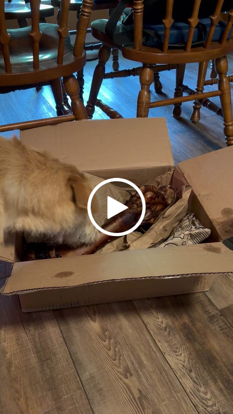 Customer video review of Gift Bundle: 2 Large Yak Chews and a 6" Hickory Smoked Bully Stick