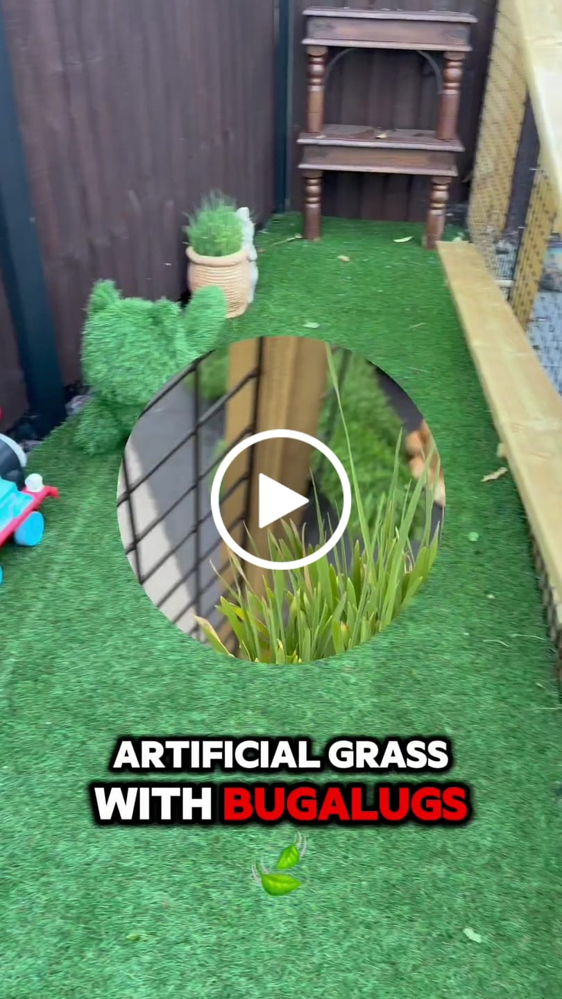 Customer video review of Artificial Grass Cleaner in Fresh Cut Grass Fragrance