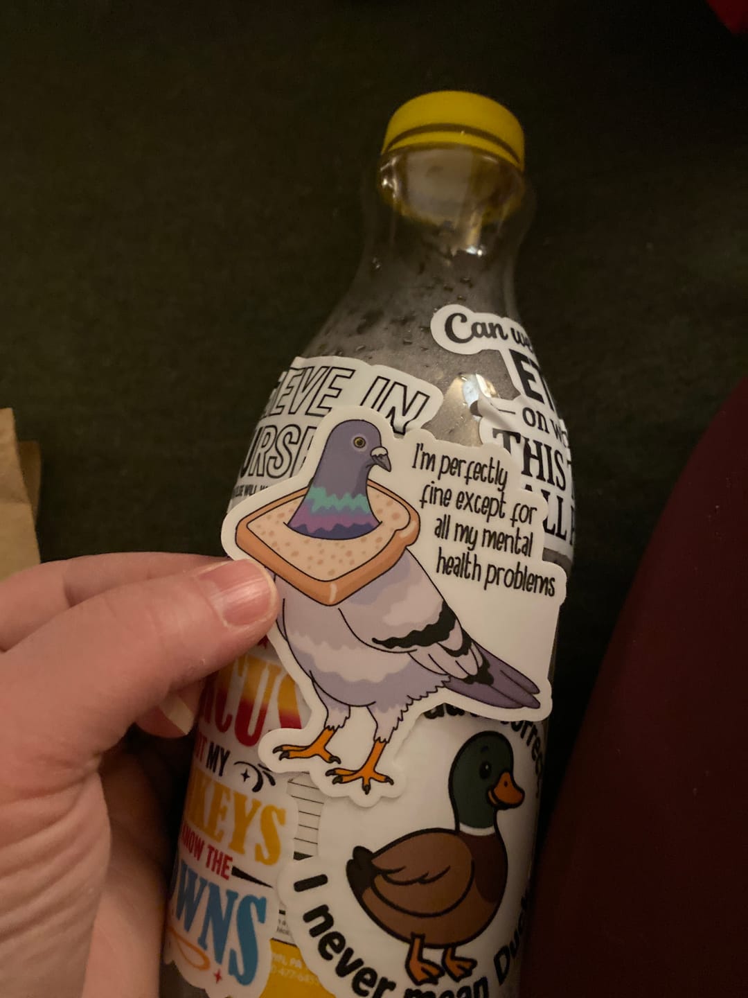 Customer photo review of STICKER CLUB | Monthly Sticker Subscription