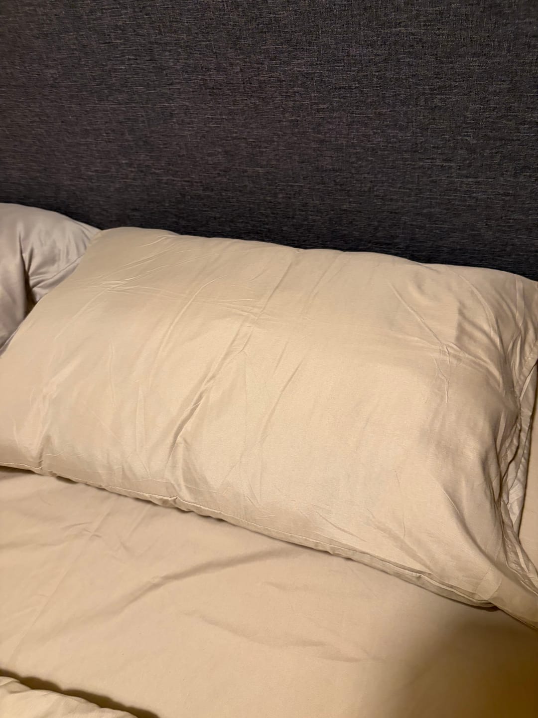 Customer photo review of SoftCloud® Kissen – Hypoallergenes Premium Komfortkissen