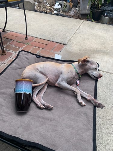 Customer photo review of Monsoon Cup 16oz