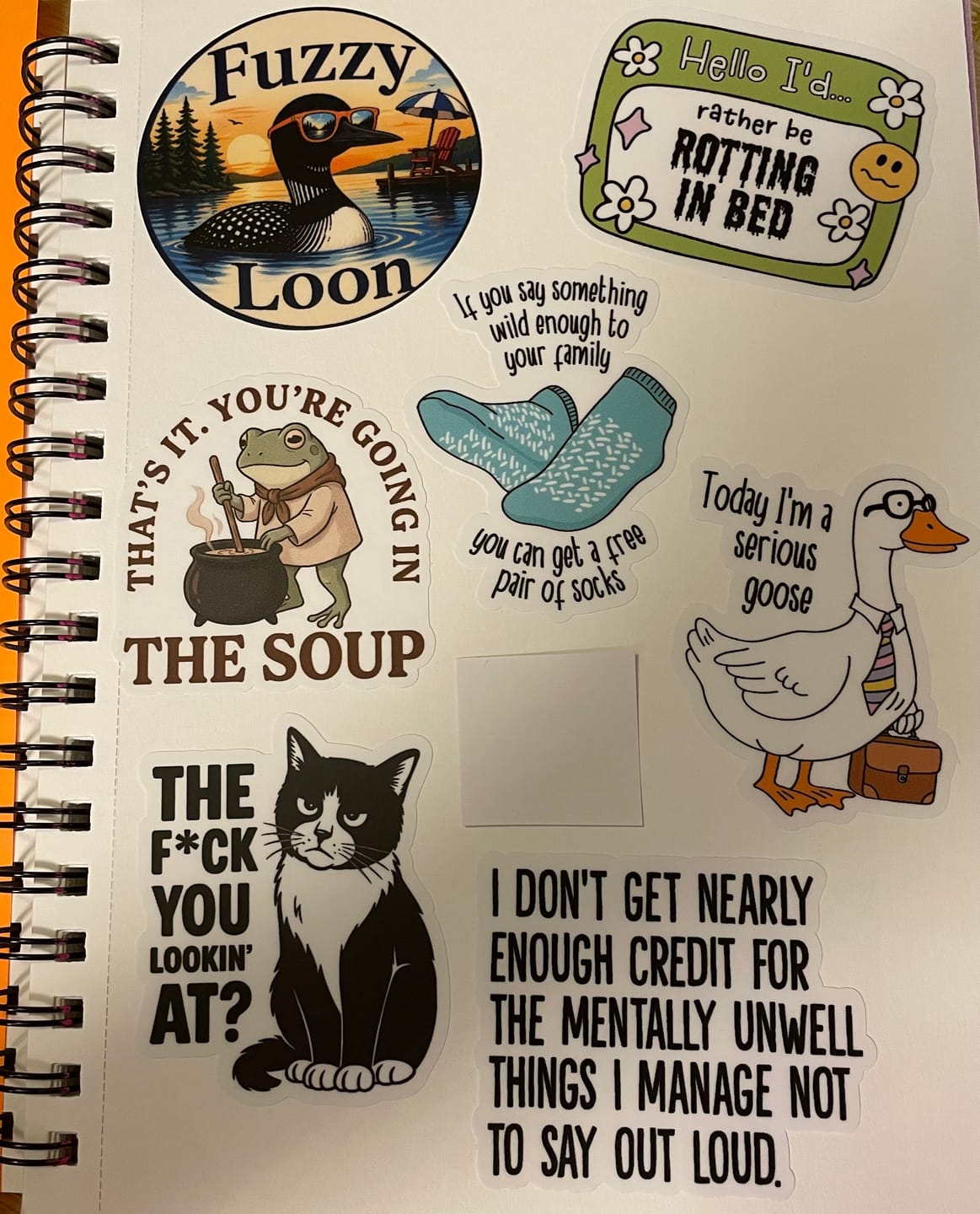 Customer photo review of STICKER CLUB | Monthly Sticker Subscription
