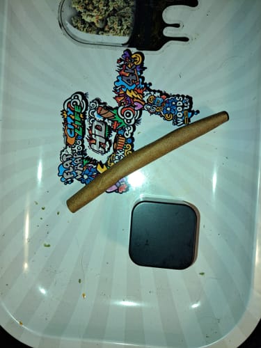 Customer photo review of Gold Spectrum THCA Flower (Exotic) - Blueberry Sugar