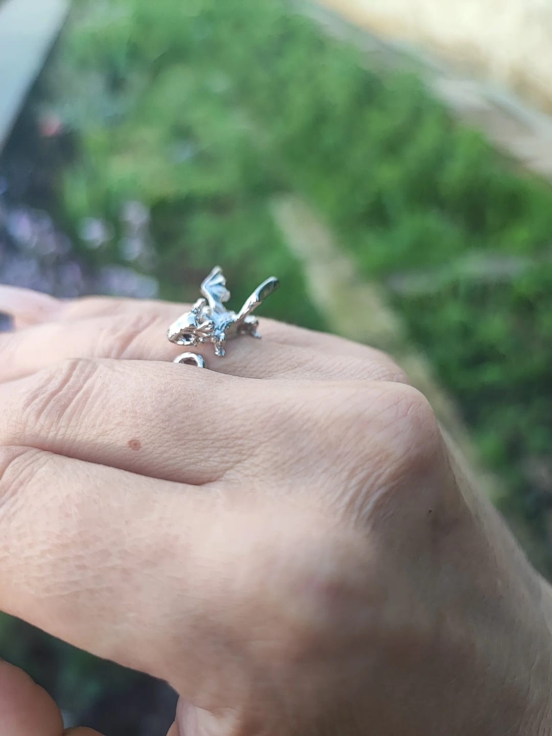 Customer photo review of Adjustable Toothless & Light Fury Ring