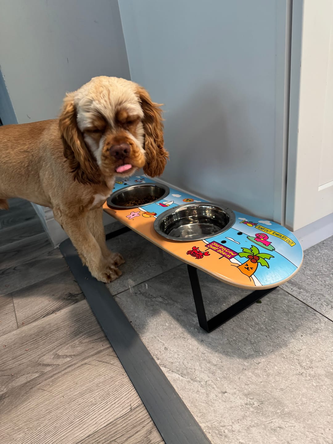 Customer photo review of Surf City Skateboard Dog Bowl (Medium)