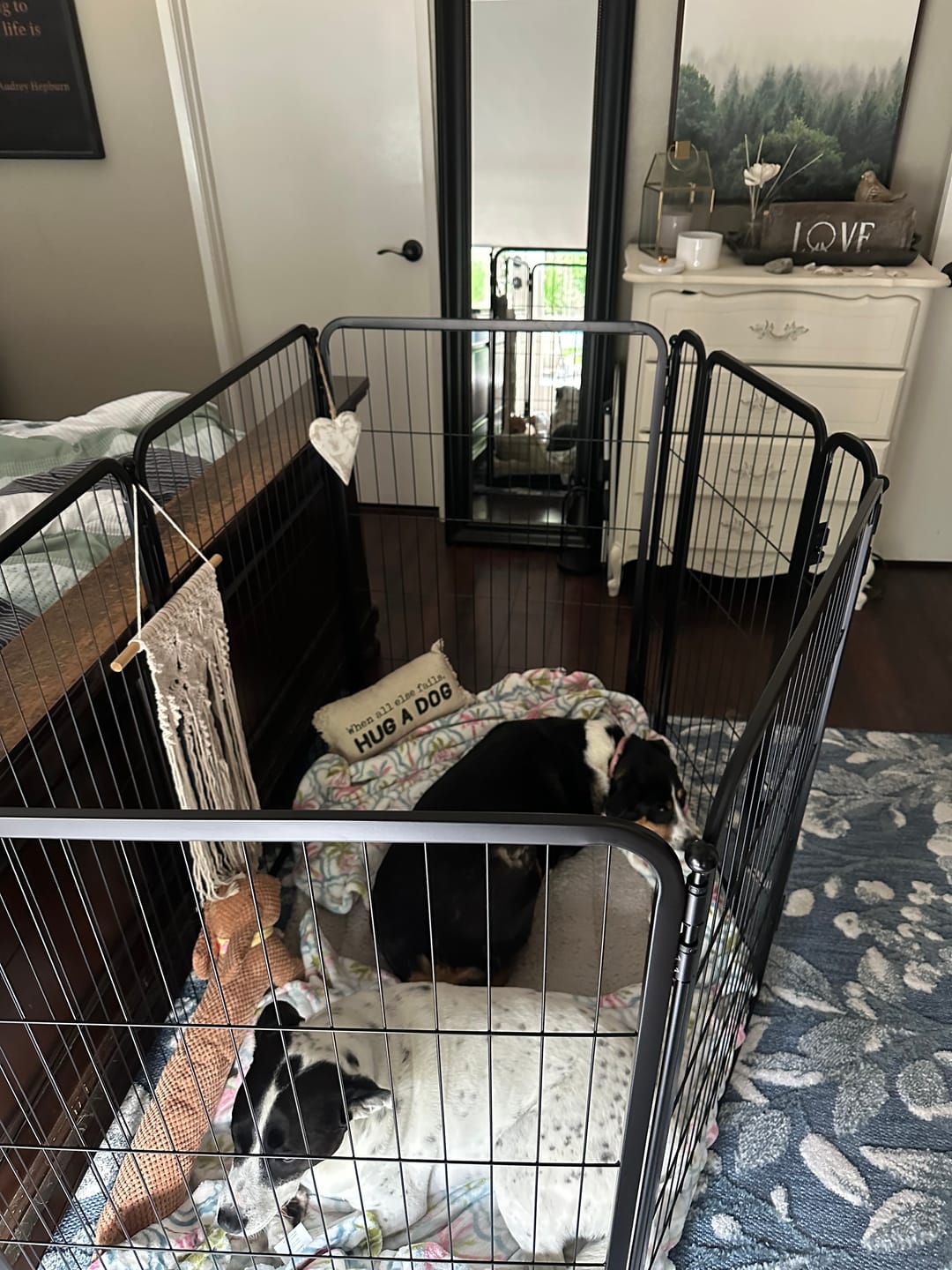 Customer photo review of Homeplus Dog Playpen for Indoor Use