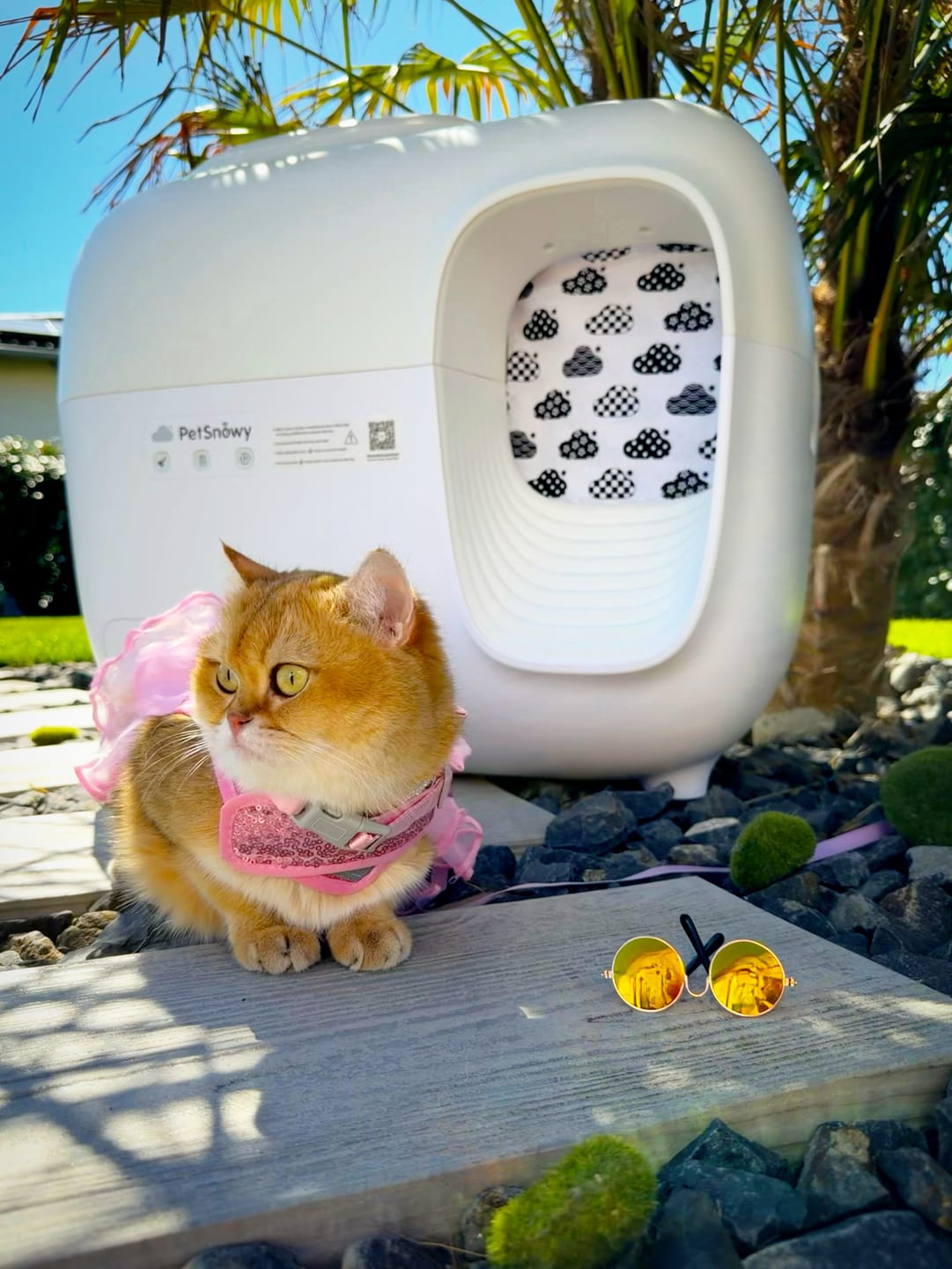 Customer photo review of Self-Cleaning Litter Box