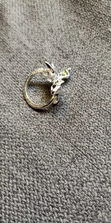 Customer photo review of Adjustable Toothless & Light Fury Ring
