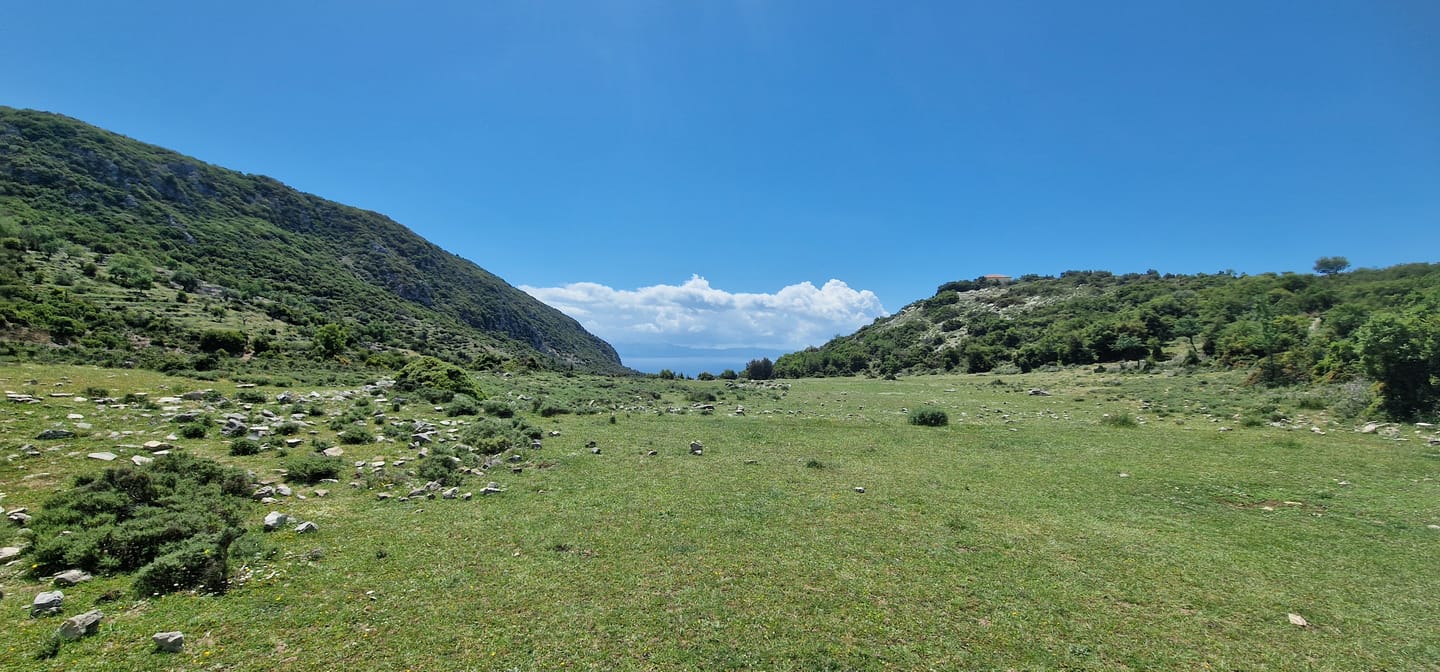 Customer photo review of Protein Crispy Bar 60g (Box of 10)