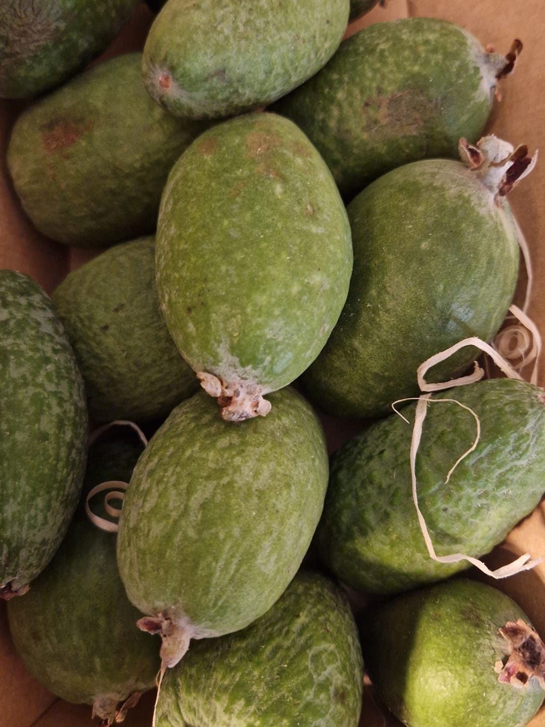 Customer photo review of Feijoa (brasilianische Guave)