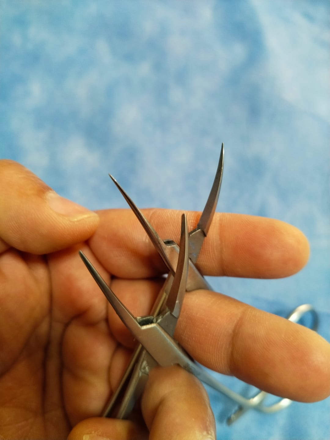 Customer photo review of Pinza Mosquito para vasectomía (punzante) - Marca Hergom