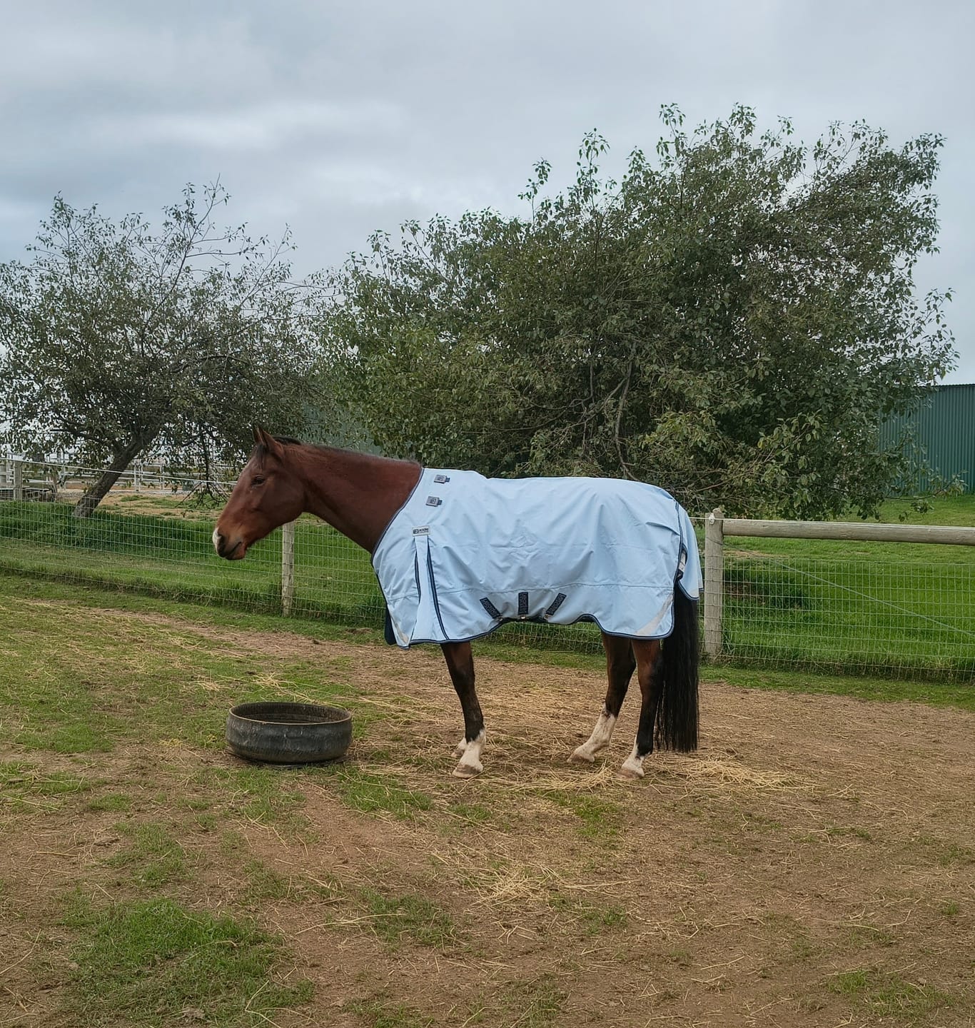 Customer photo review of LE Boxter Turnout 0g