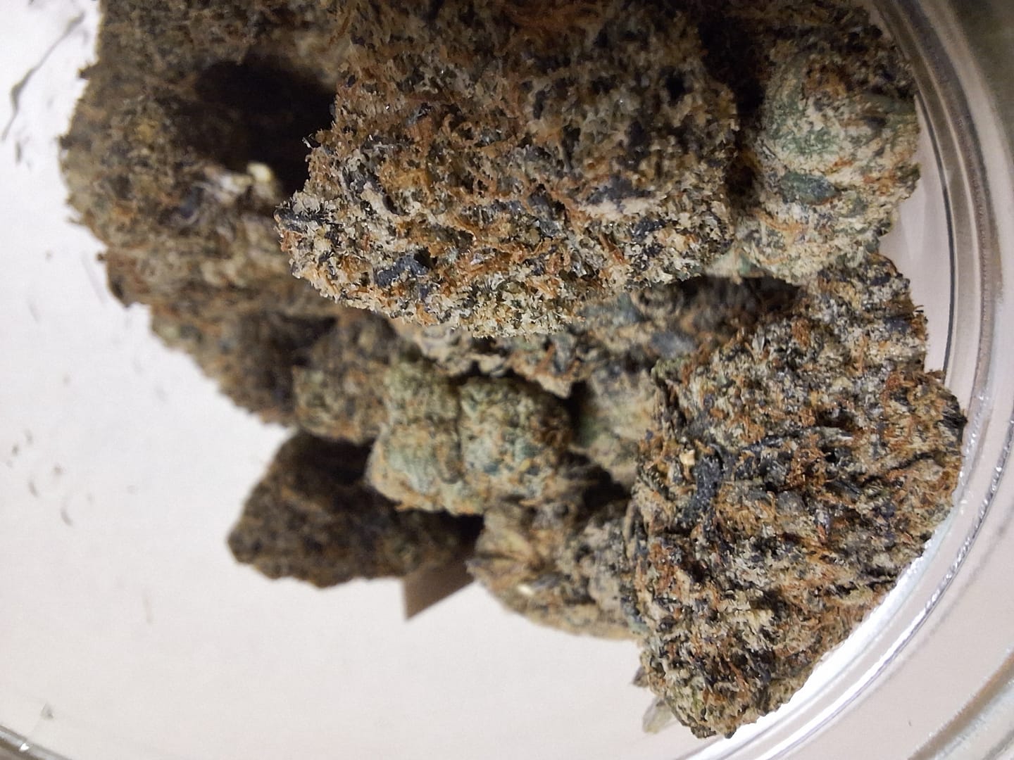 Customer photo review of Black Cherry OG