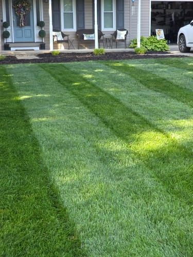 Customer photo review of GCI Turf Liquid Bundle
